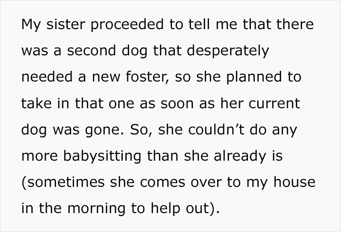 Woman Wants Childfree Sister To Babysit Her Kids, Asks Her To Stop Fostering Dogs Woman Wants Childfree Sister To Babysit Her Kids, Asks Her To Stop Fostering Dogs