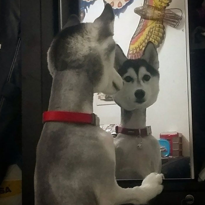 "Pero ¿qué me han hecho?"