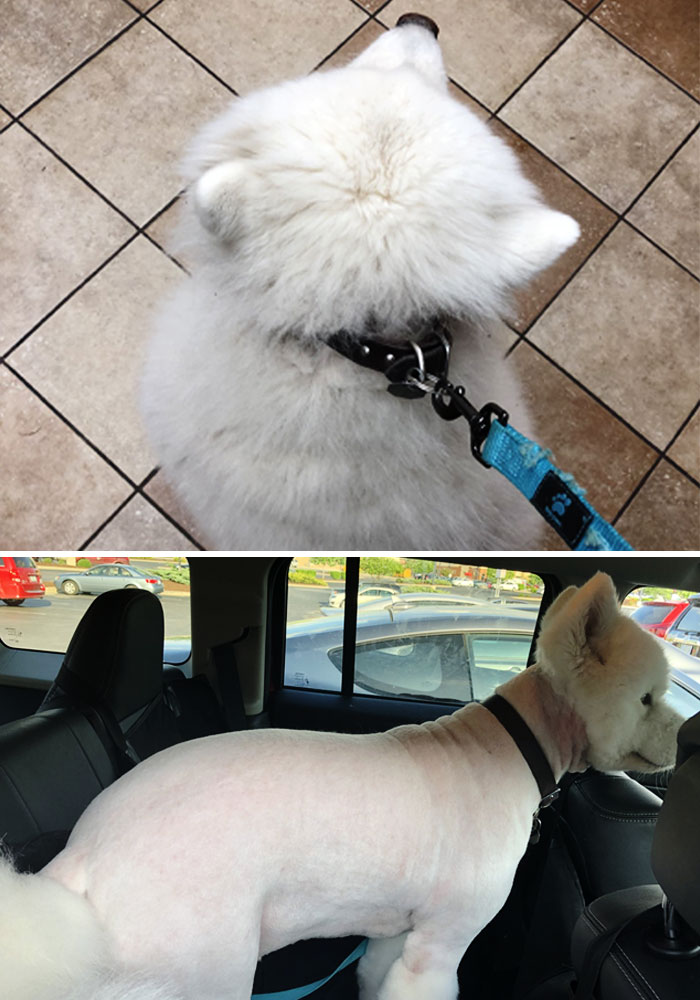 Debería haberlo sabido cuando entré, además de que las citas anteriores salían todas con este aspecto