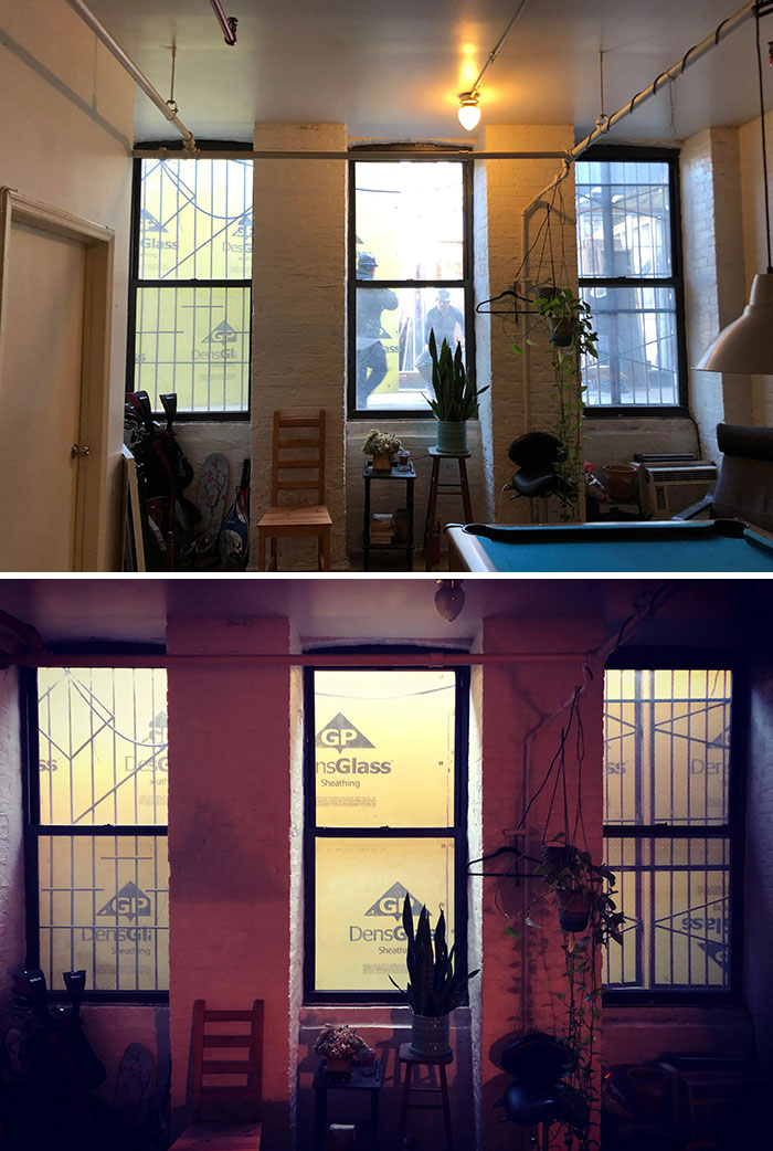 Adios Sunlight. After 10 Years Of Living Here, The Owner Of The Lot Outside My Windows Decided To Sell And Build Luxury Apartments