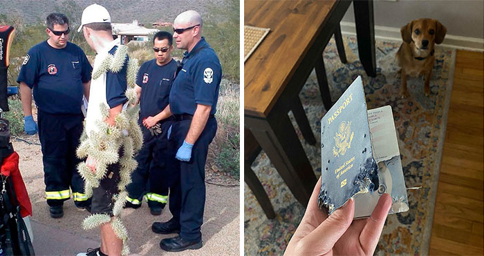 50 Times People Had No Choice But To Take A Picture Of Their Miserable Fails (New Pics)