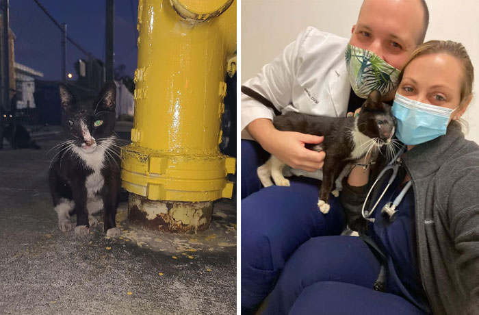 Chira. Rescued Off Street In Miami By Our Rescue