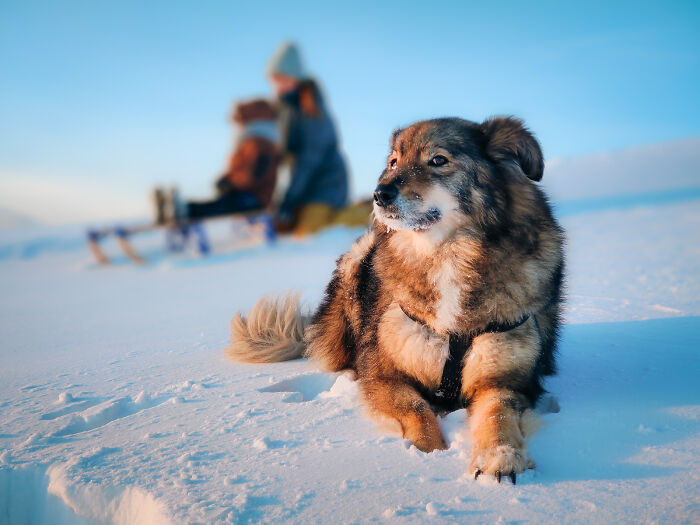 Fun On Snow