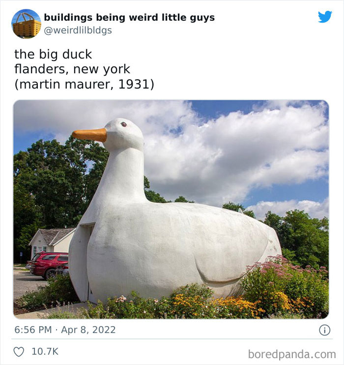 Buildings Being Weird Little Guys