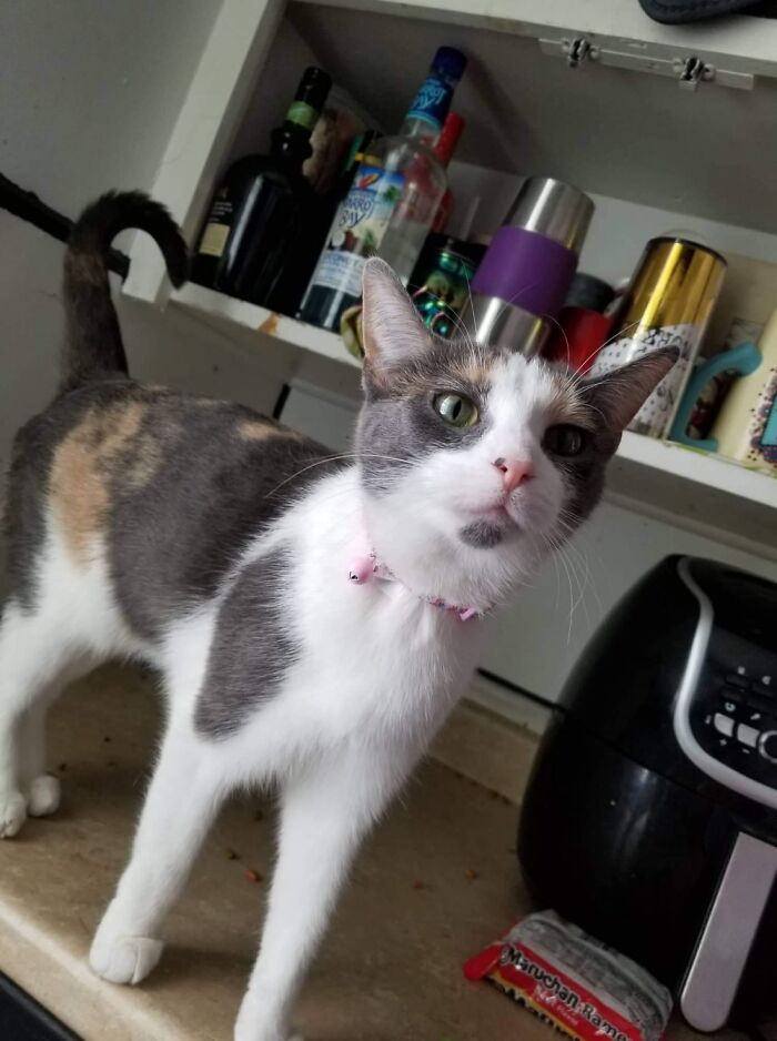 Cleo Saying Good Morning