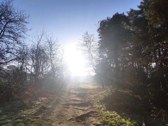 7:30 At The Brunssummerheide In Heerlen (The Netherlands)