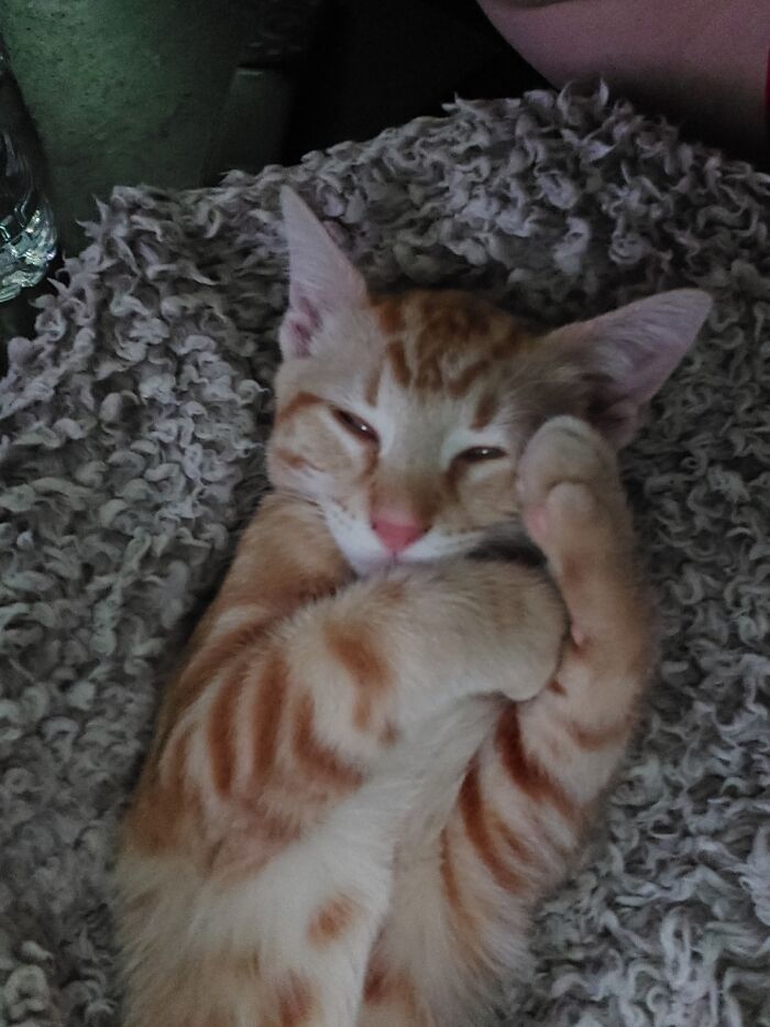 Lilth Being Lilith Lol