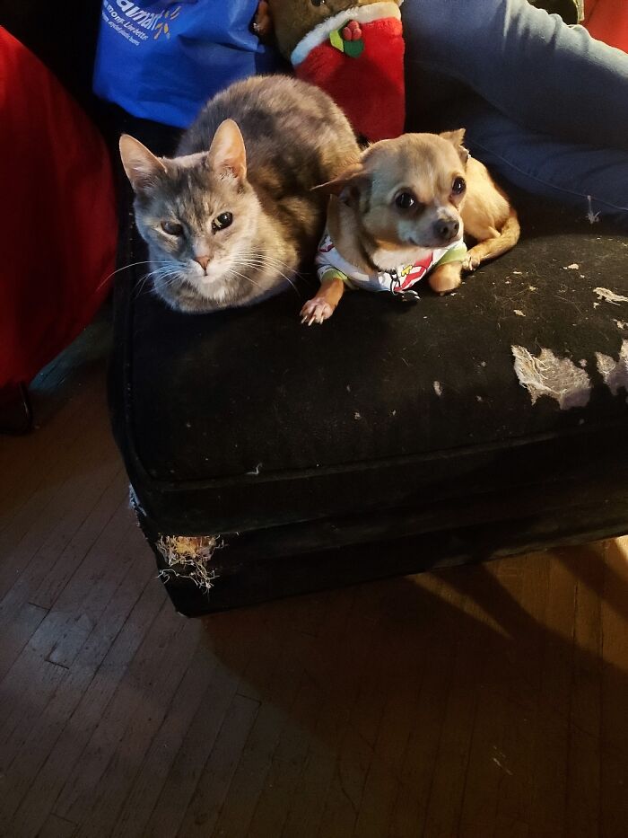 My Beautiful Queen And My Strong Handsome Bru