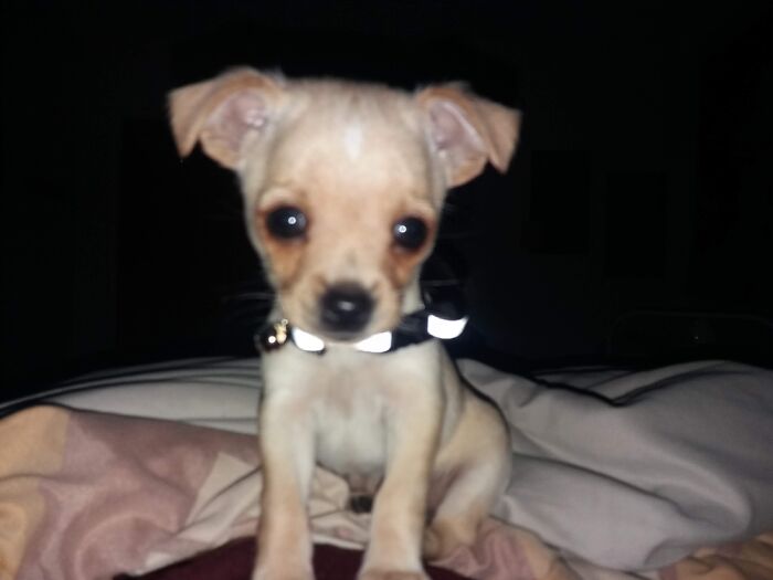 Spikey Around 2 Months Old