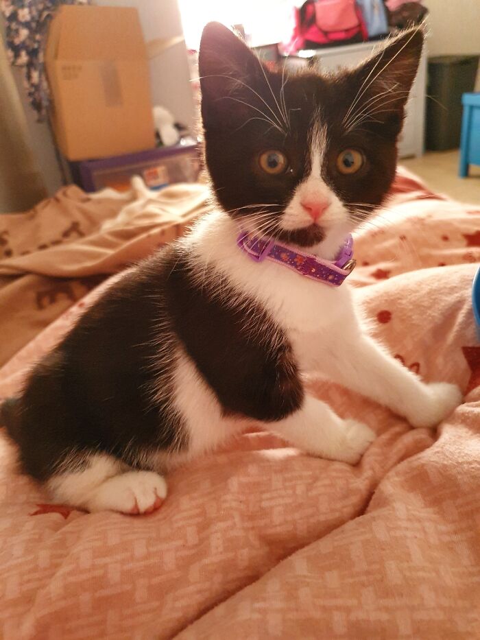 My Minerva When She Was Tiny.