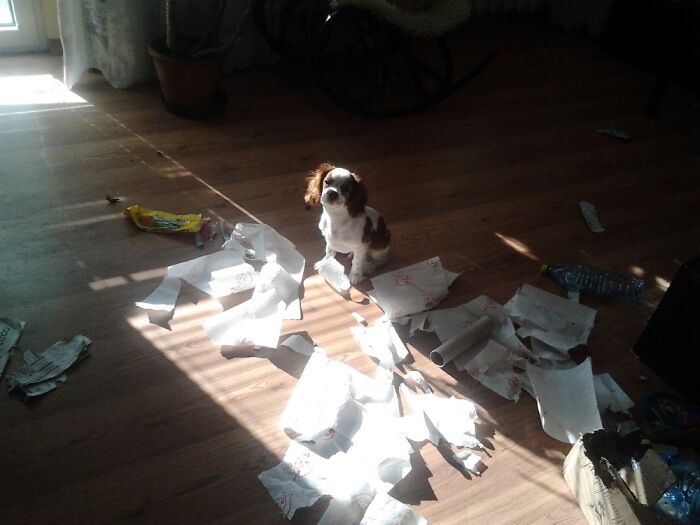 Lucky. I Left The Room For Five Minutes...