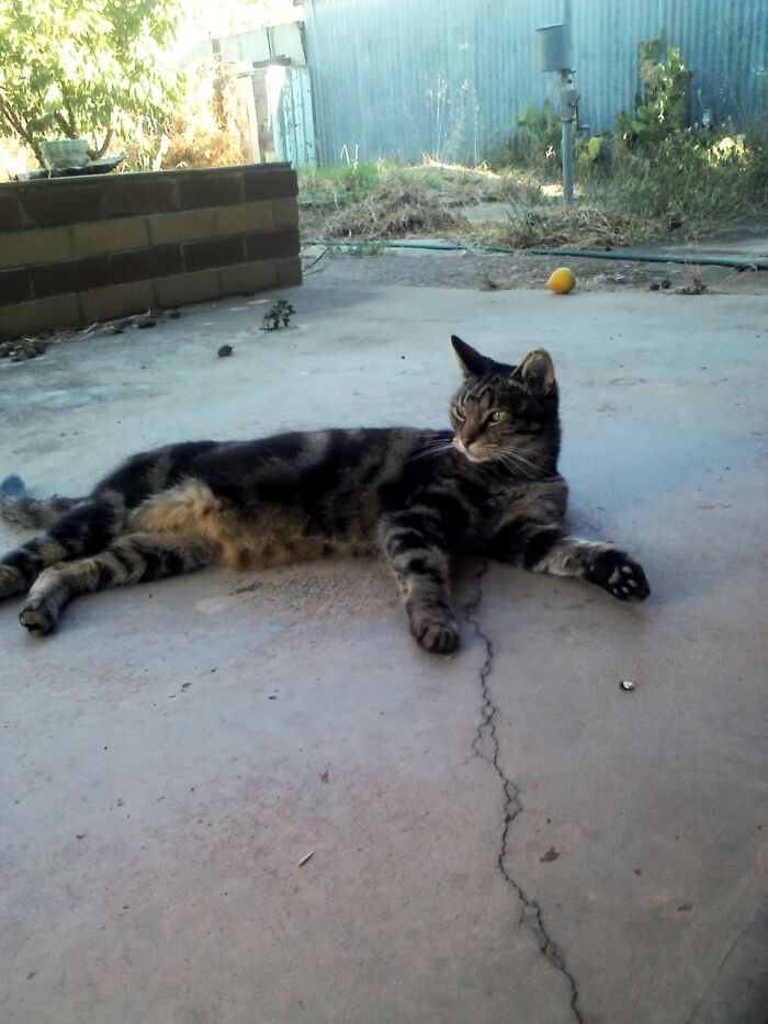 My Sweet P.bubs... Rip Miss Her Forever