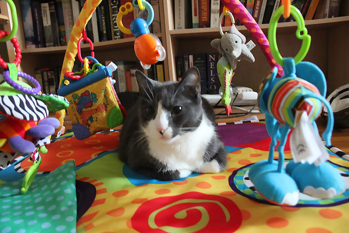 &ldquo;AITA For Refusing To Let My Family See My Son Until They Make A Formal Apology To My Wife And Announce It Online?&rdquo;