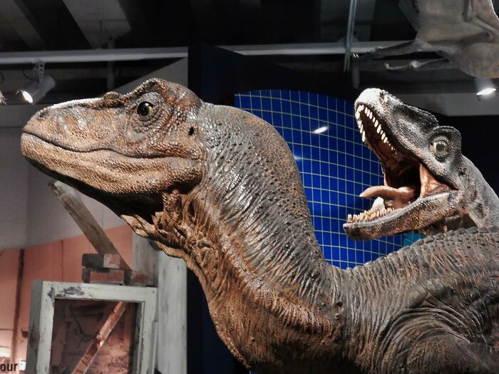 Alguien preguntó: "¿Qué dato genial y divertido conoces?", y 30 personas respondieron