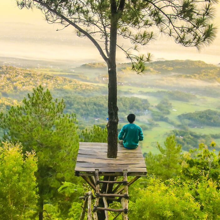 Person sitting on a wooden platform by a tree overlooking a green valley, reflecting on near-death experiences.