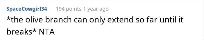 Drama Ensues After Woman Asked SIL And Brother To Find Someone Else To Care For Their 5 Y.O. And 7 Y.O. Children During The Day