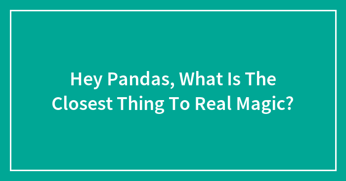 Hey Pandas, What Is The Closest Thing To Real Magic? (Closed)