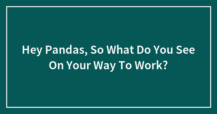 Hey Pandas, So What Do You See On Your Way To Work?
