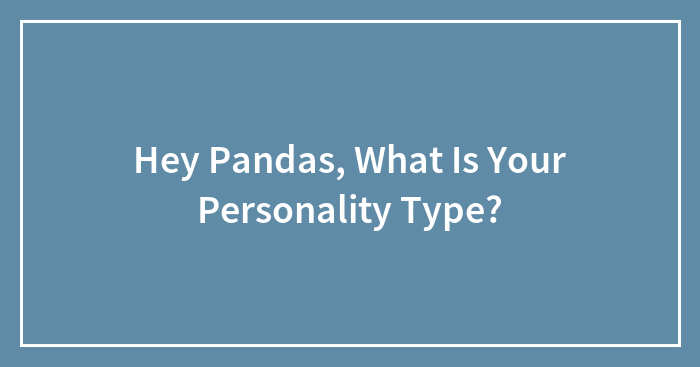 Hey Pandas, What Is Your Personality Type? (Closed)