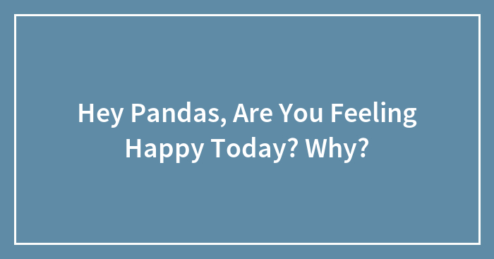 Hey Pandas, Are You Feeling Happy Today? Why? (Closed)