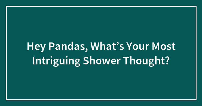 Hey Pandas, What’s Your Most Intriguing Shower Thought? (Closed)
