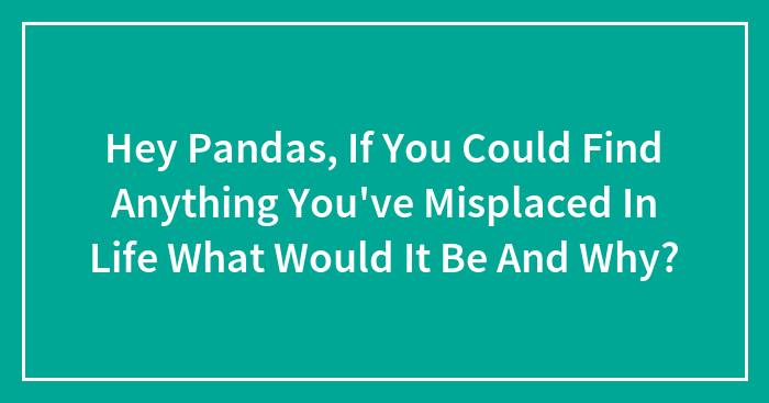 Hey Pandas, If You Could Find Anything You’ve Misplaced In Life What Would It Be And Why? (Closed)