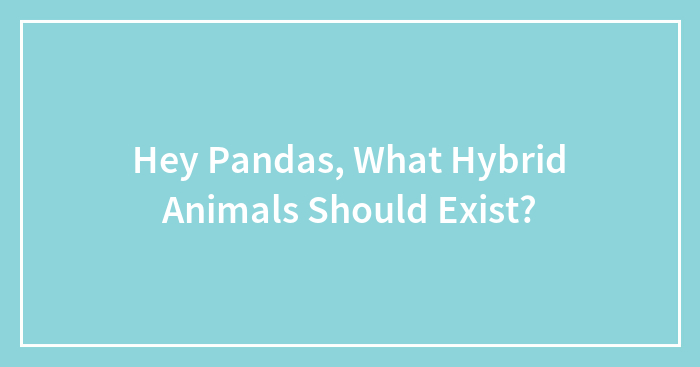 Hey Pandas, What Hybrid Animals Should Exist? (Closed)