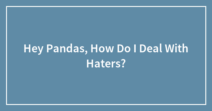 Hey Pandas, How Do I Deal With Haters? (Closed)