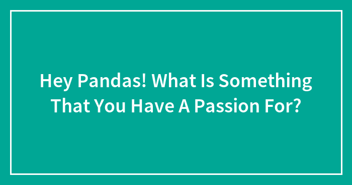 Hey Pandas! What Is Something That You Have A Passion For?