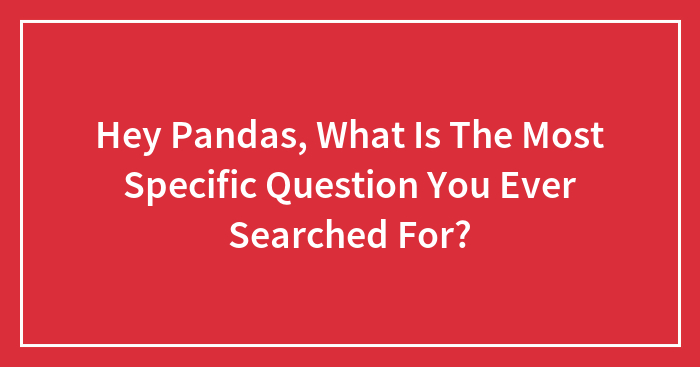 Hey Pandas, What Is The Most Specific Question You Ever Searched For?
