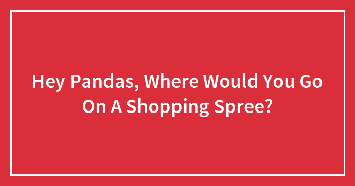 Hey Pandas, Where Would You Go On A Shopping Spree?