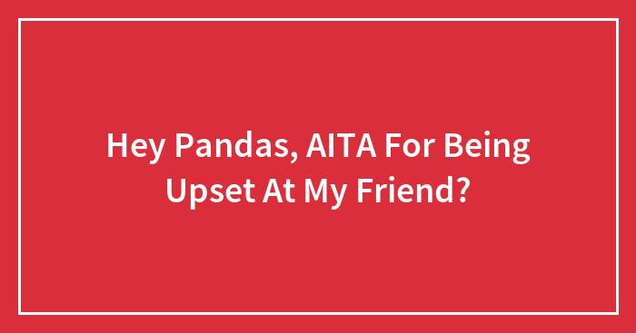Hey Pandas, AITA For Being Upset At My Friend? (Closed)