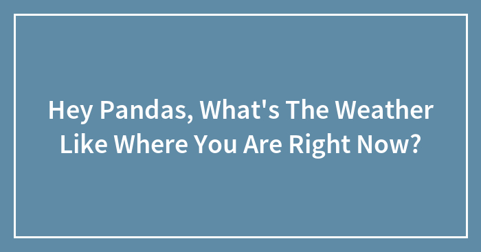 Hey Pandas, What’s The Weather Like Where You Are Right Now? (Closed)