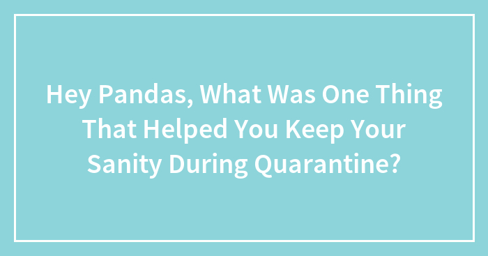 Hey Pandas, What Was One Thing That Helped You Keep Your Sanity During Quarantine? (Closed)