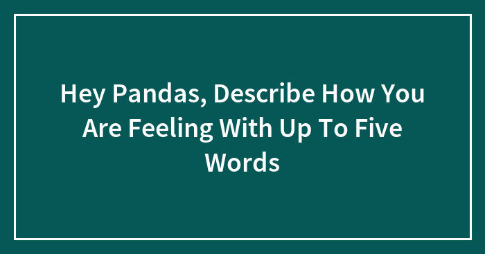Hey Pandas, Describe How You Are Feeling With Up To Five Words (Closed)