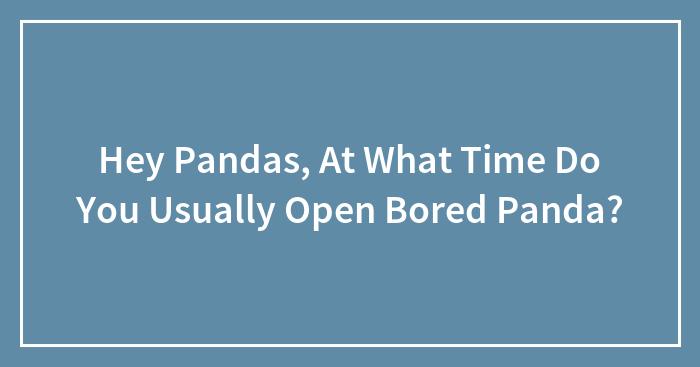 Hey Pandas, At What Time Do You Usually Open Bored Panda? (Closed)