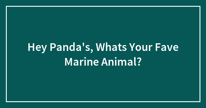 Hey Pandas, What’s Your Fave Marine Animal? (Closed)