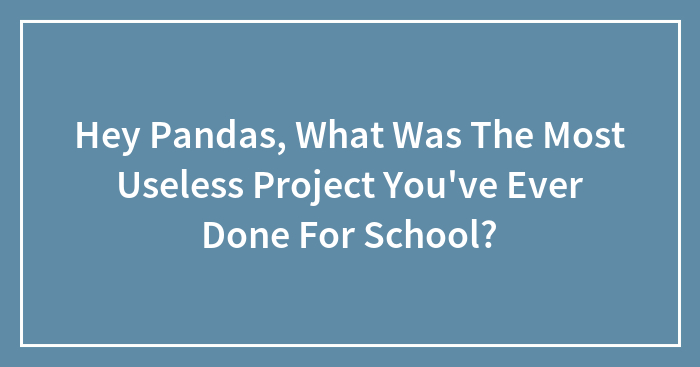 Hey Pandas, What Was The Most Useless Project You’ve Ever Done For School? (Closed)