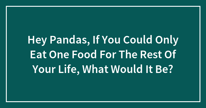 Hey Pandas, If You Could Only Eat One Food For The Rest Of Your Life, What Would It Be? (Closed)