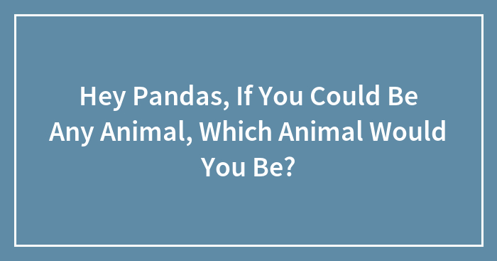 Hey Pandas, If You Could Be Any Animal, Which Animal Would You Be? (Closed)