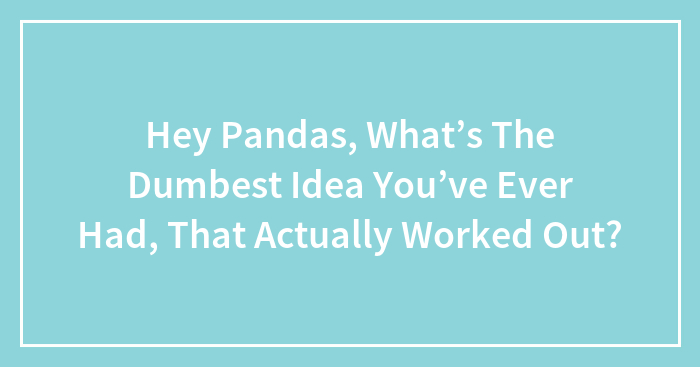 Hey Pandas, What’s The Dumbest Idea You’ve Ever Had, That Actually Worked Out?