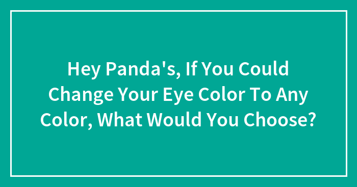 Hey Panda’s, If You Could Change Your Eye Color To Any Color, What Would You Choose? (Closed)