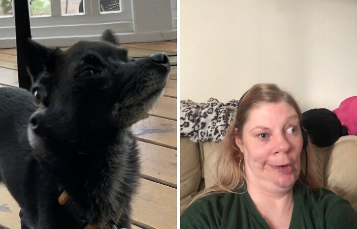 Hey Pandas, Post A Cursed Panoramic Photo (Closed)