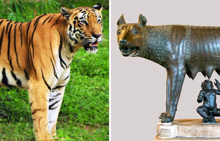 Hey Pandas, Post Your Country’s National Animal (Closed)