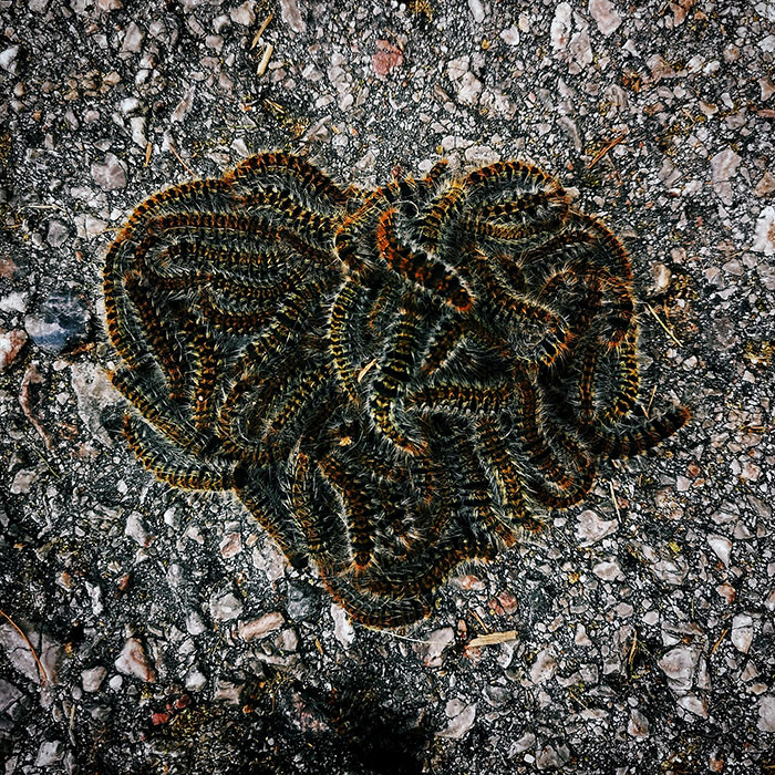 Happy Valentine's Day