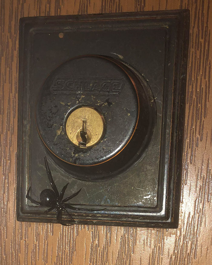 Got Home Late Last Night And Fortunately I Saw This Before I Tried To Unlock My Door