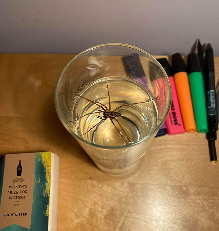 Woke Up For Some Water. Thank God I Turned On The Light Before Taking A Sip