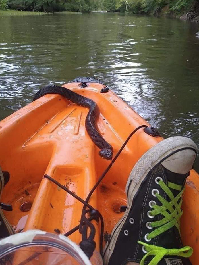 Just Here To Ruin Your Day