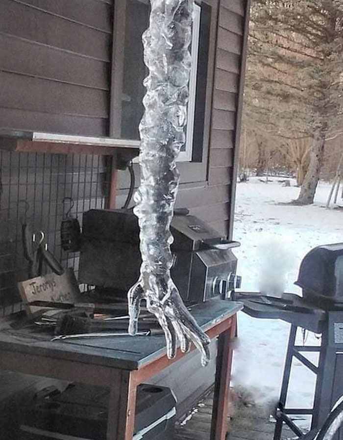 Sometimes Mother Nature Can Be Creepy (Chesaning, MI)