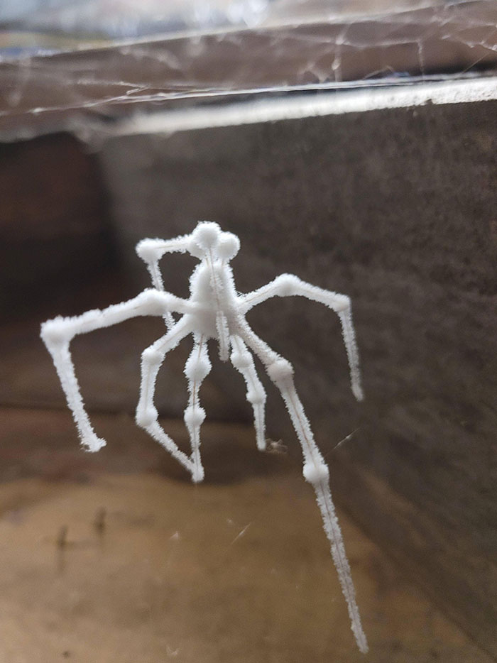 I Found This In My Crawlspace